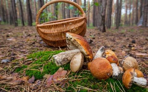 Autumn Getaways