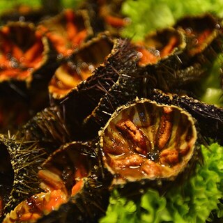 Garoinada 2026: a gastronomic getaway with Hotel Alga  